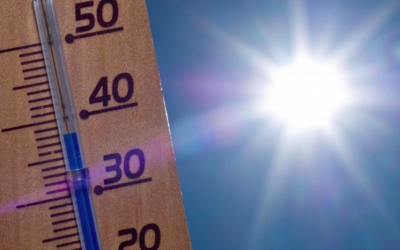Ola de Calor – sabemos cómo actuar?