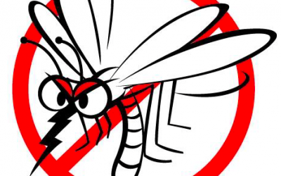 Mosquitos – Este año NO!