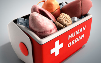 Día Mundial del Donante de Órganos y Tejidos
