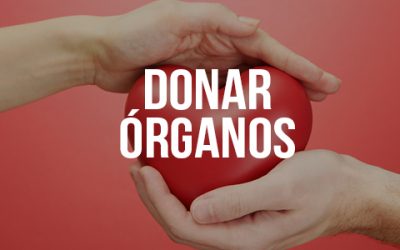 Día Mundial de los Pacientes Trasplantados