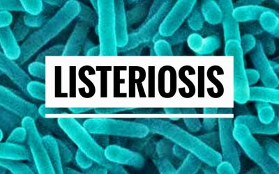 LISTERIOSIS, LA ALERTA DEL VERANO