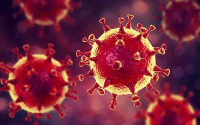 ¿Qué sabemos del coronavirus?